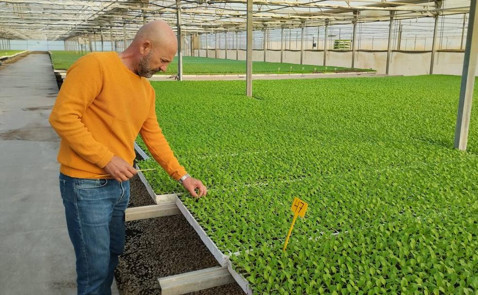 «Sin agua, adiós al producto de proximidad»