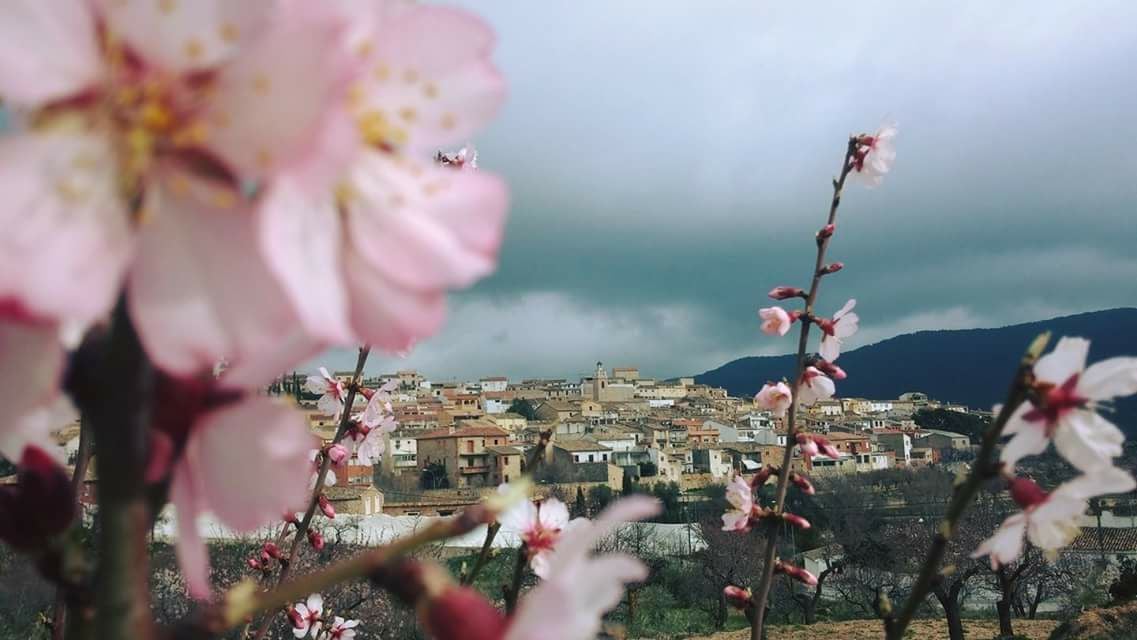 Imagen principal - La Torre de les Maçanes