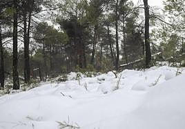 Paisaje nevado en La Carrasqueta en 2021