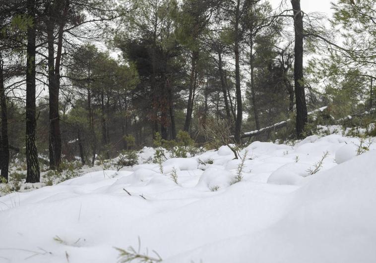 Dónde va a nevar en Alicante