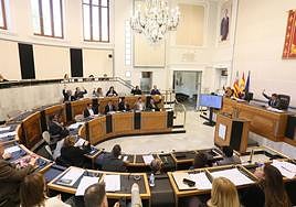 Votación en el pleno de la Diputación de Alicante