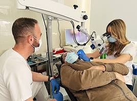 Las consultas por problemas de audición en 2022 alcanzaron valores históricos en la Comunitat 