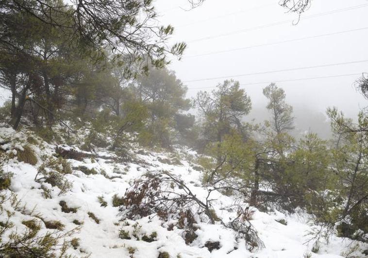 El tiempo en Alicante: La noche deja la montaña nevada