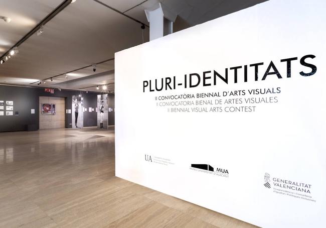 Anterior edición de 'Pluri-identitats' en el Museo de la Universidad de Alicante.