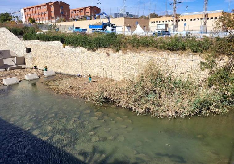 El Ayuntamiento de Alicante desbroza la parte inundada del barranco de las Ovejas