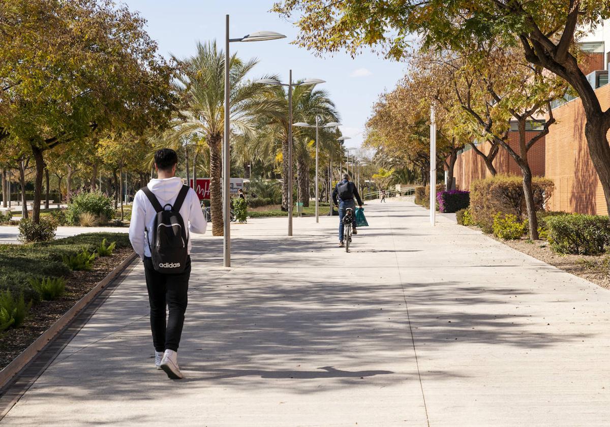 Estudiantes pasean por el campus de la UMH