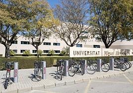 Universidad Miguel Hernández, en Elche