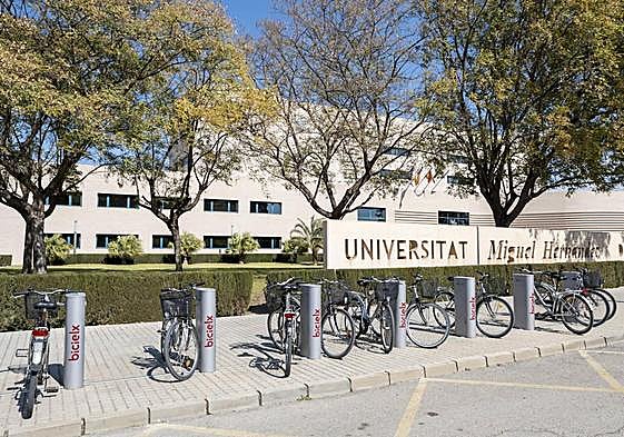 Universidad Miguel Hernández, en Elche