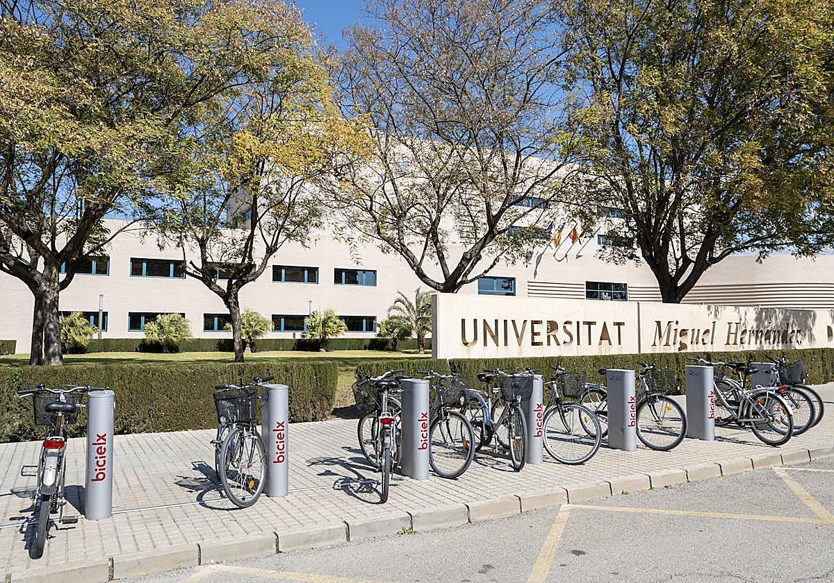 Universidad Miguel Hernández, en Elche