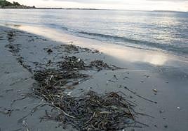 Playa de la Almadraba
