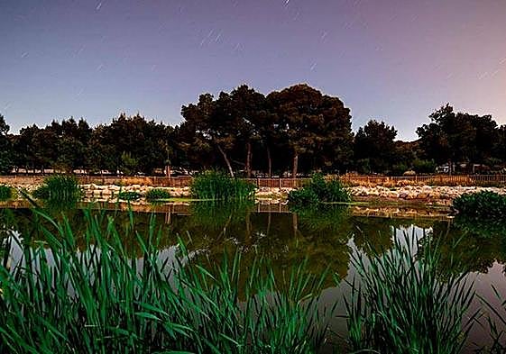 Ecosistema de El Recorral, en Rojales.