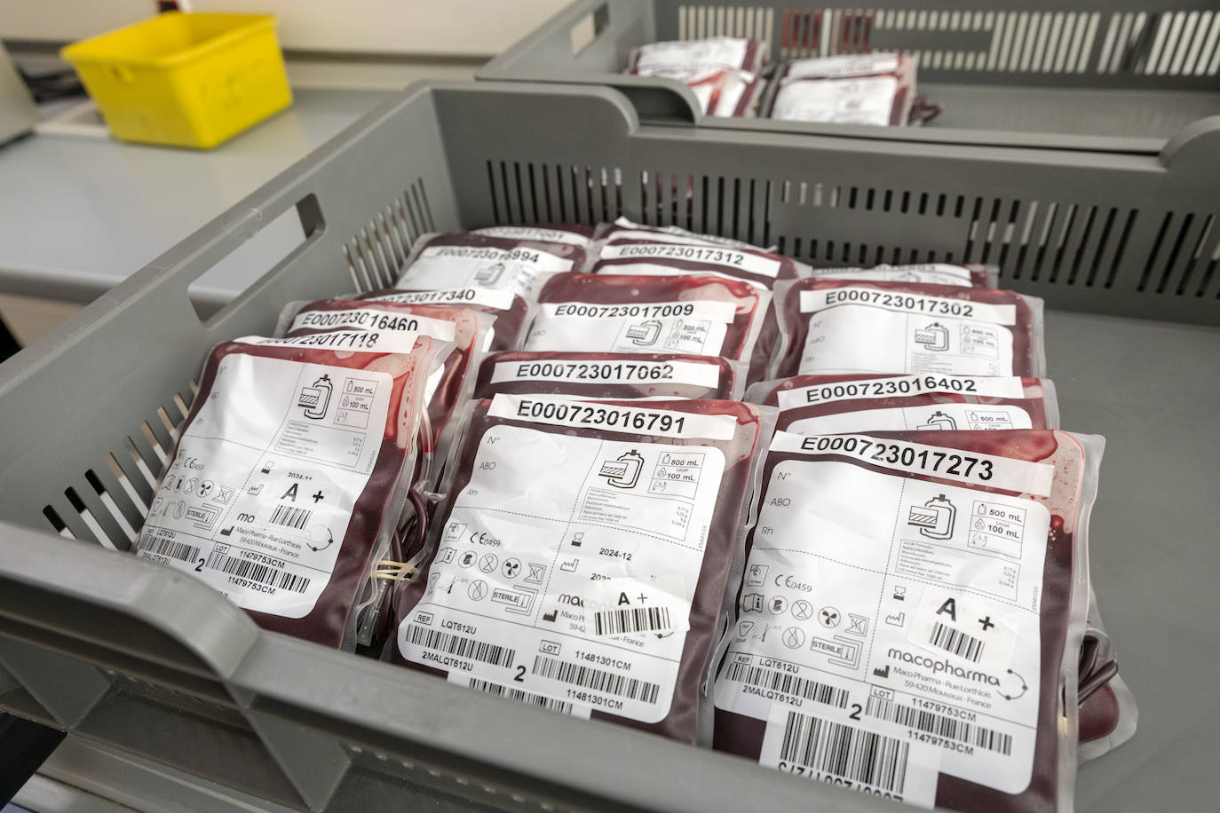 ¿Qué hacen con nuestra sangre tras una donación?