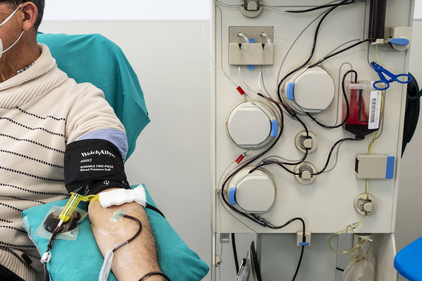 ¿Qué hacen con nuestra sangre tras una donación?