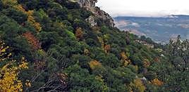 Parque natural de la Font Roja de Alcoi.