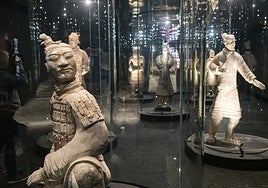 Los Guerreros de Xi'an ya lucen en el MARQ de Alicante.