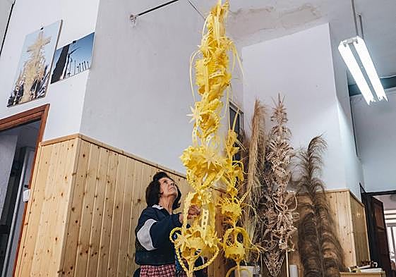 El trabajo de la palma blanca que realizan en la empresa ilicitana Serrano Valero.