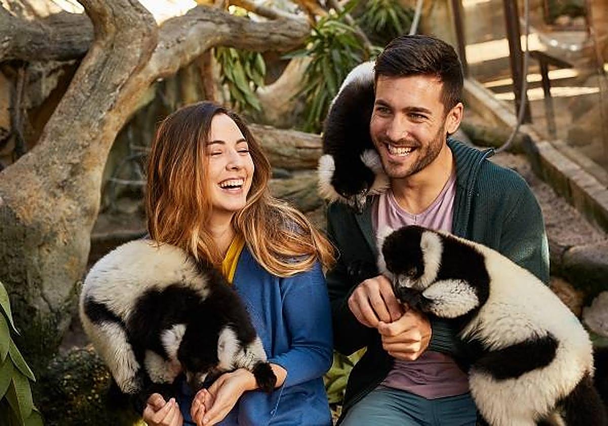 Mundomar cumple 27 años creando ilusión