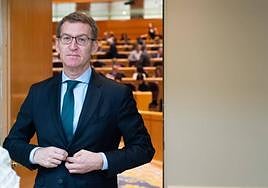 El presidente del PP, Alberto Núñez Feijóo, durante una sesión plenaria en el Senado.