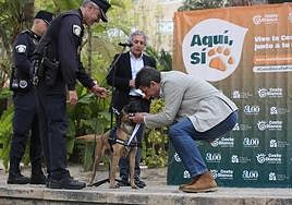 El presidente de la Diputación, Carlos Mazón, entregando distinciones a la Unidad Canina.