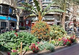 Conjunto de 'parterre mix' en Doctor Gadea, con arbustos y plantas a distintas alturas.