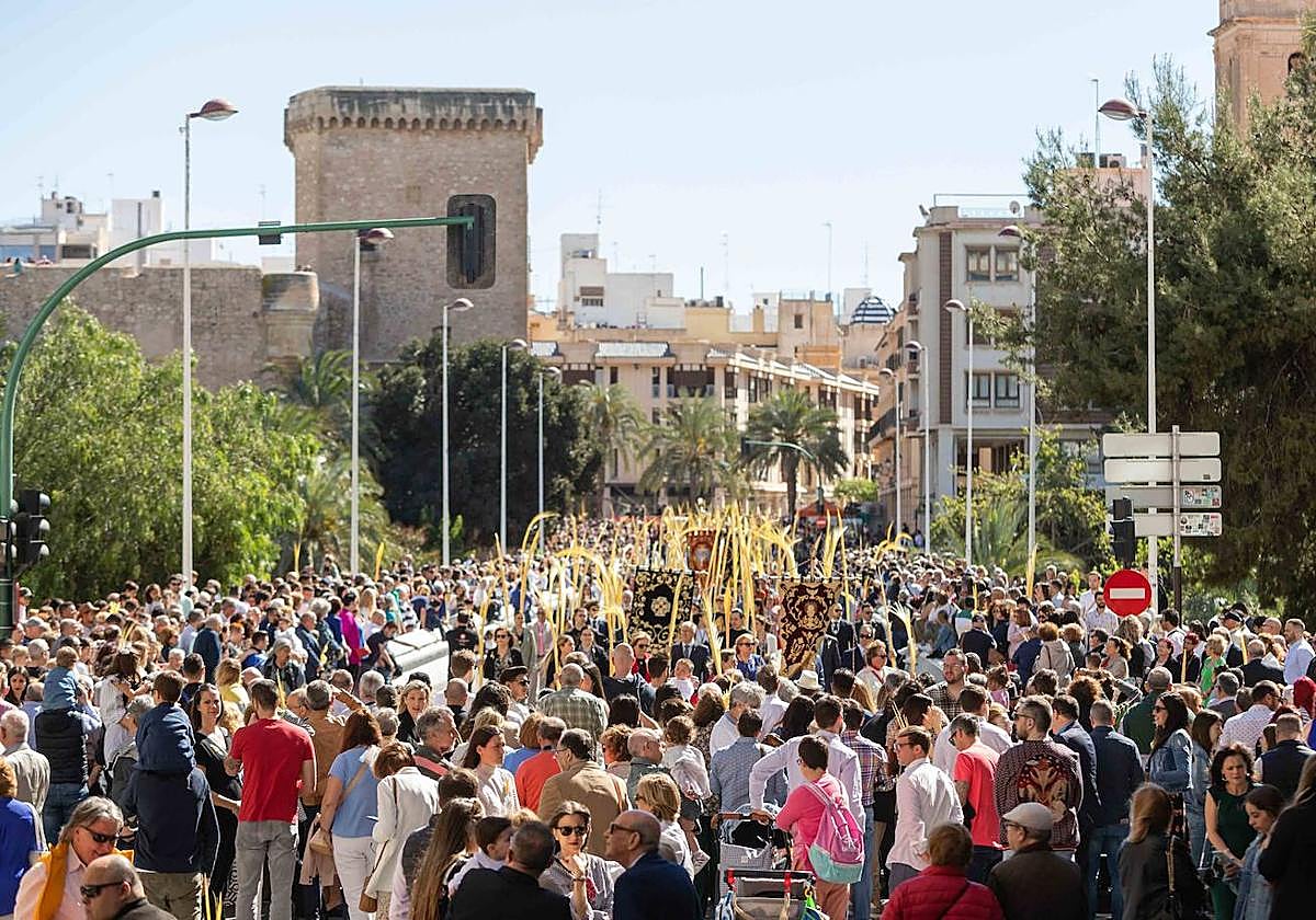 Procesión del Domingo de Ramos en Elche.