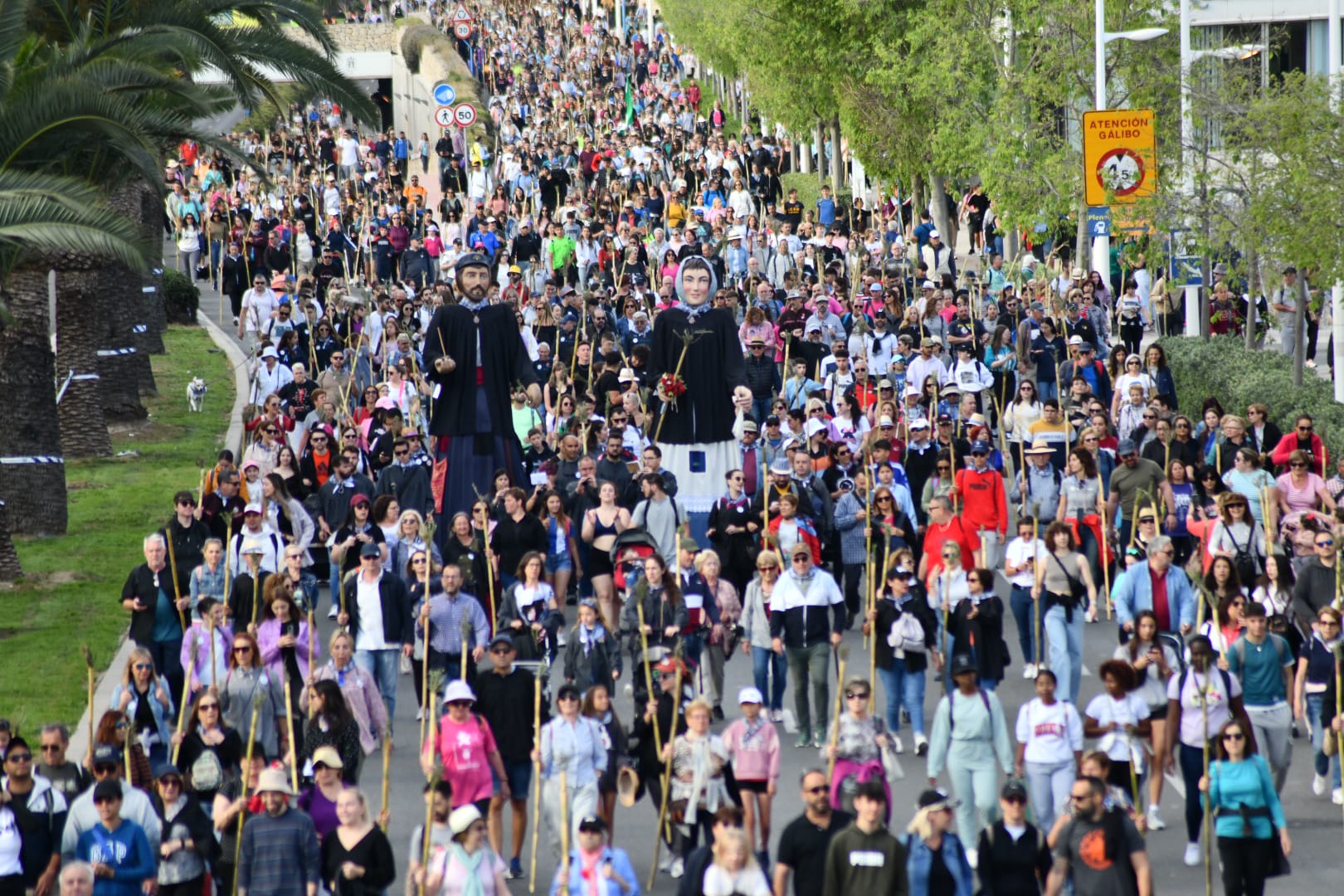 Búscate en las imágenes de la romería de la Santa Faz