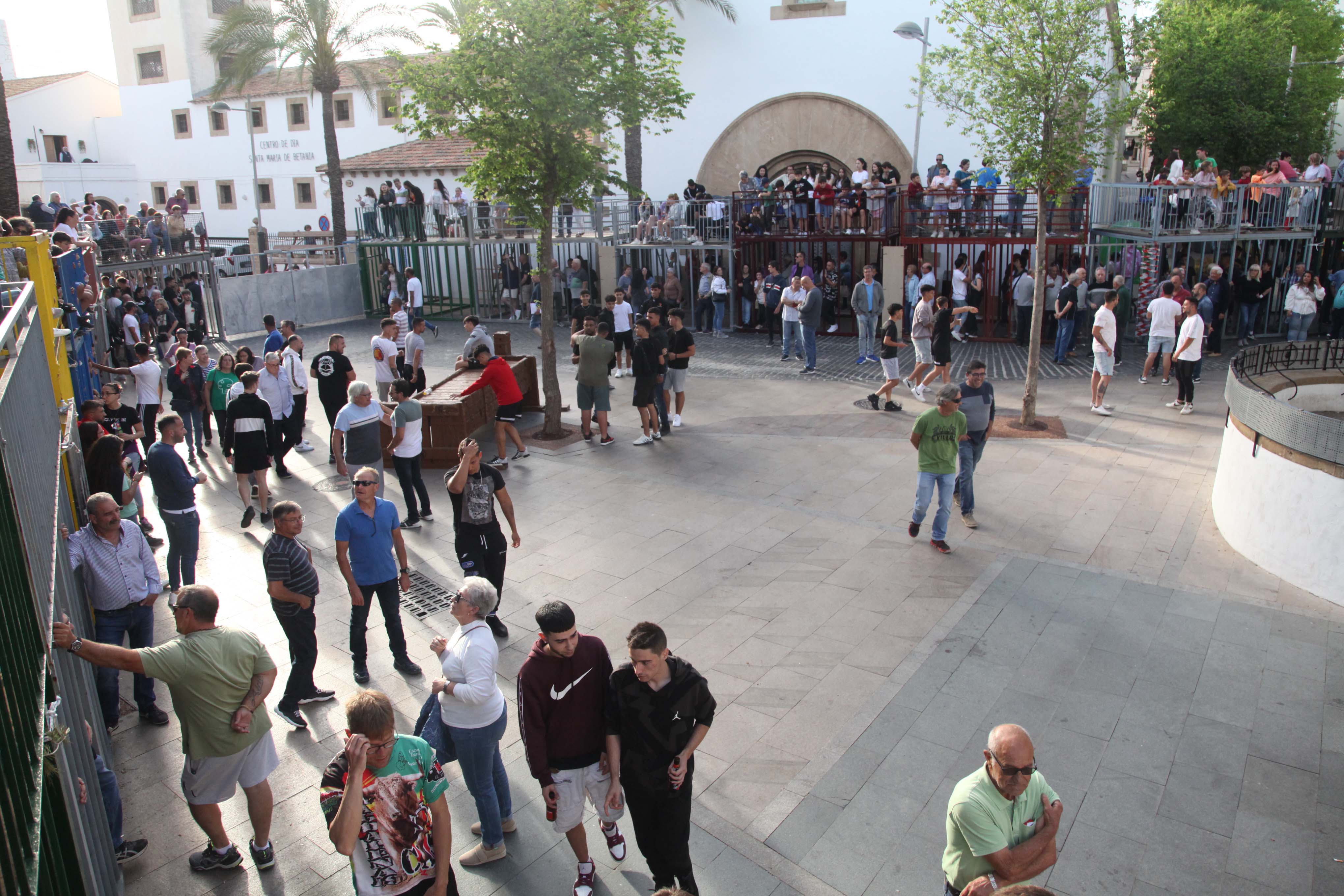 Xàbia celebra sus bous al carrer