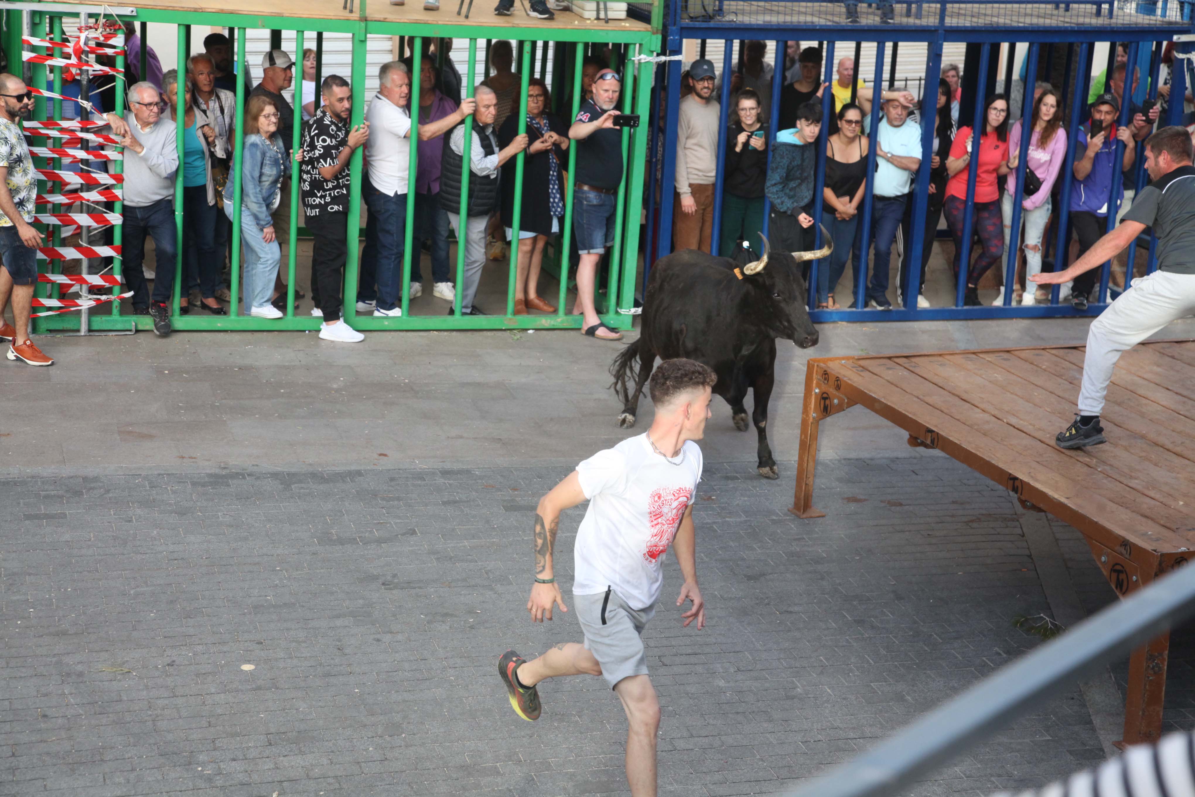 Xàbia celebra sus bous al carrer