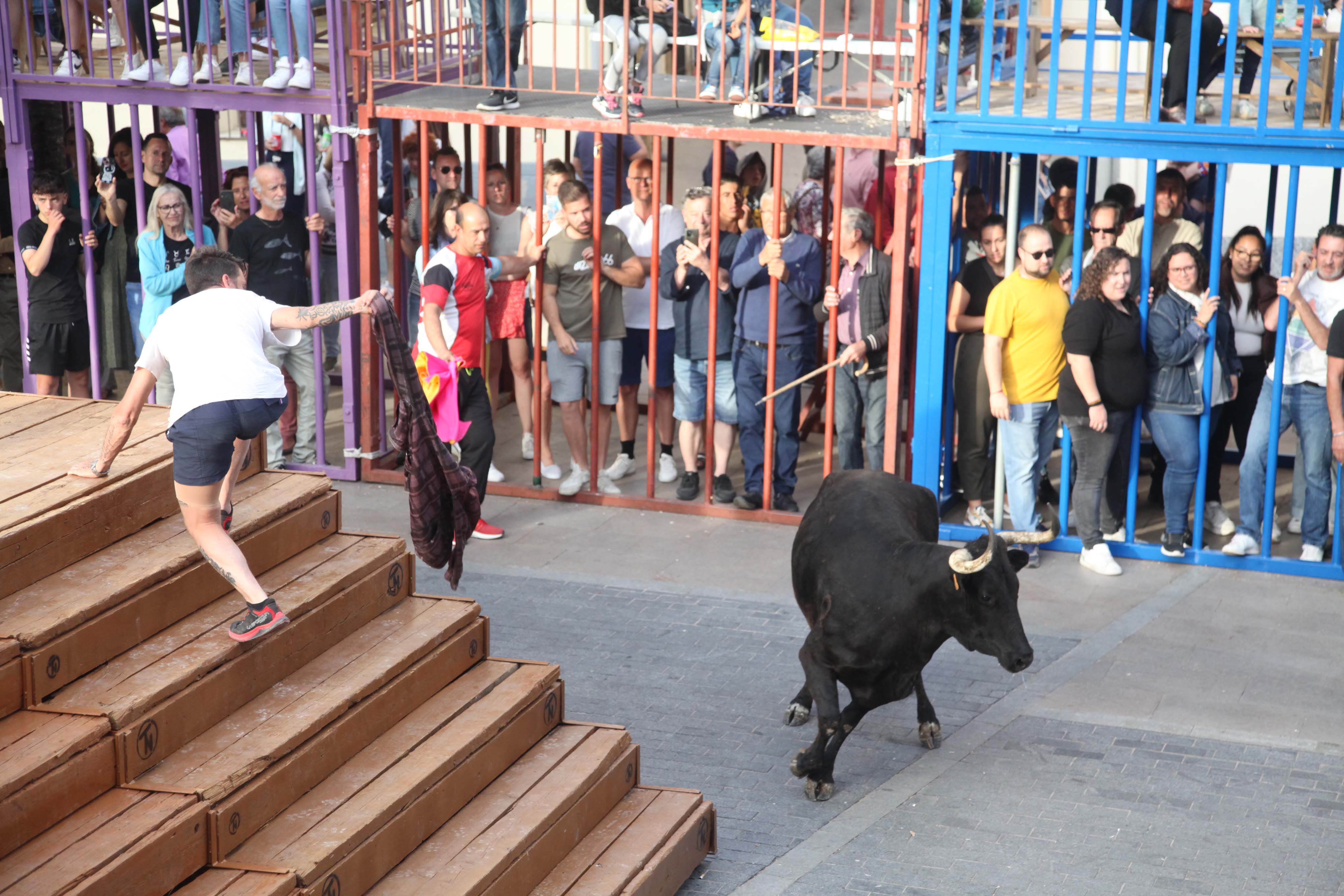 Xàbia celebra sus bous al carrer