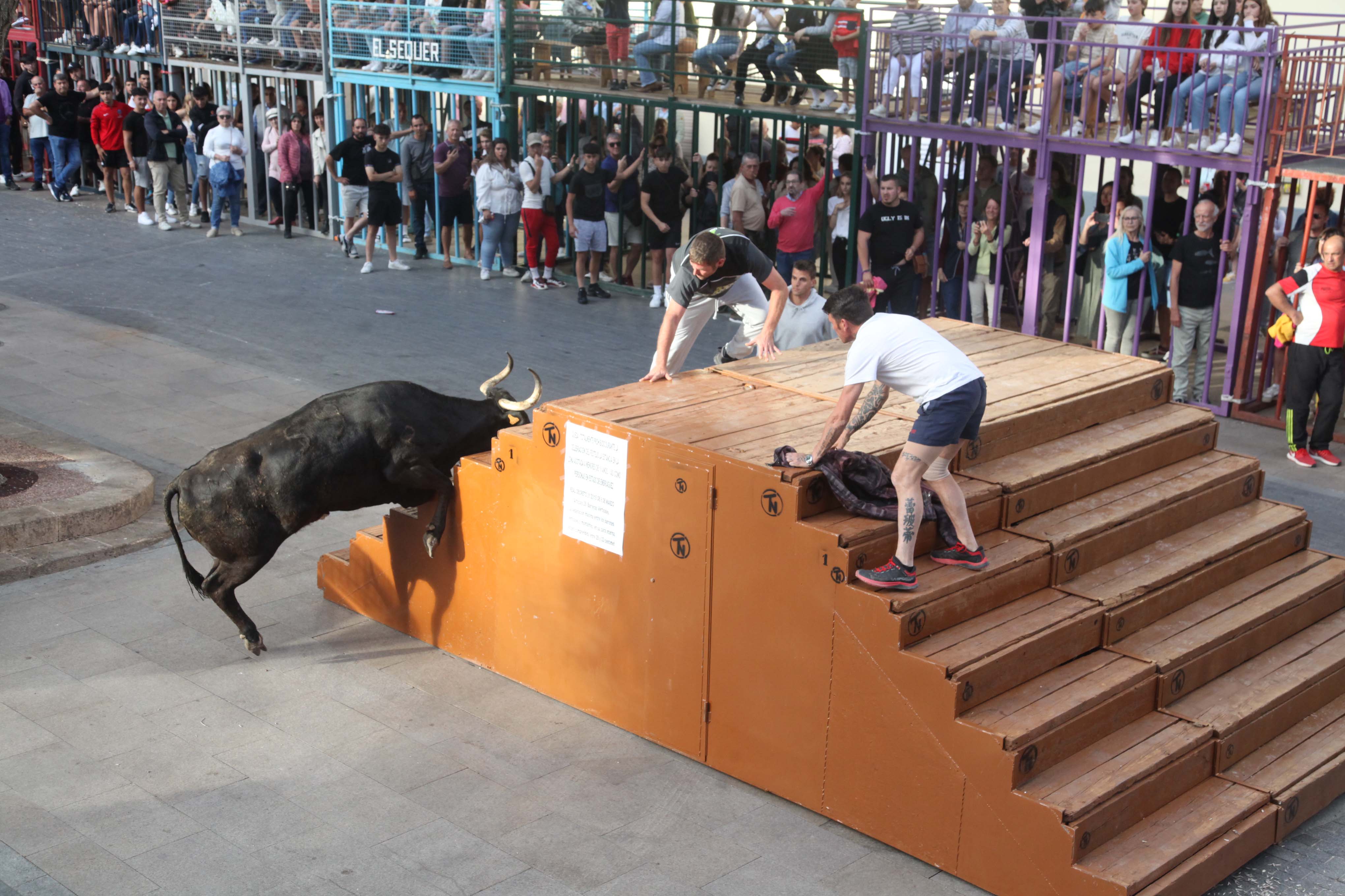 Xàbia celebra sus bous al carrer