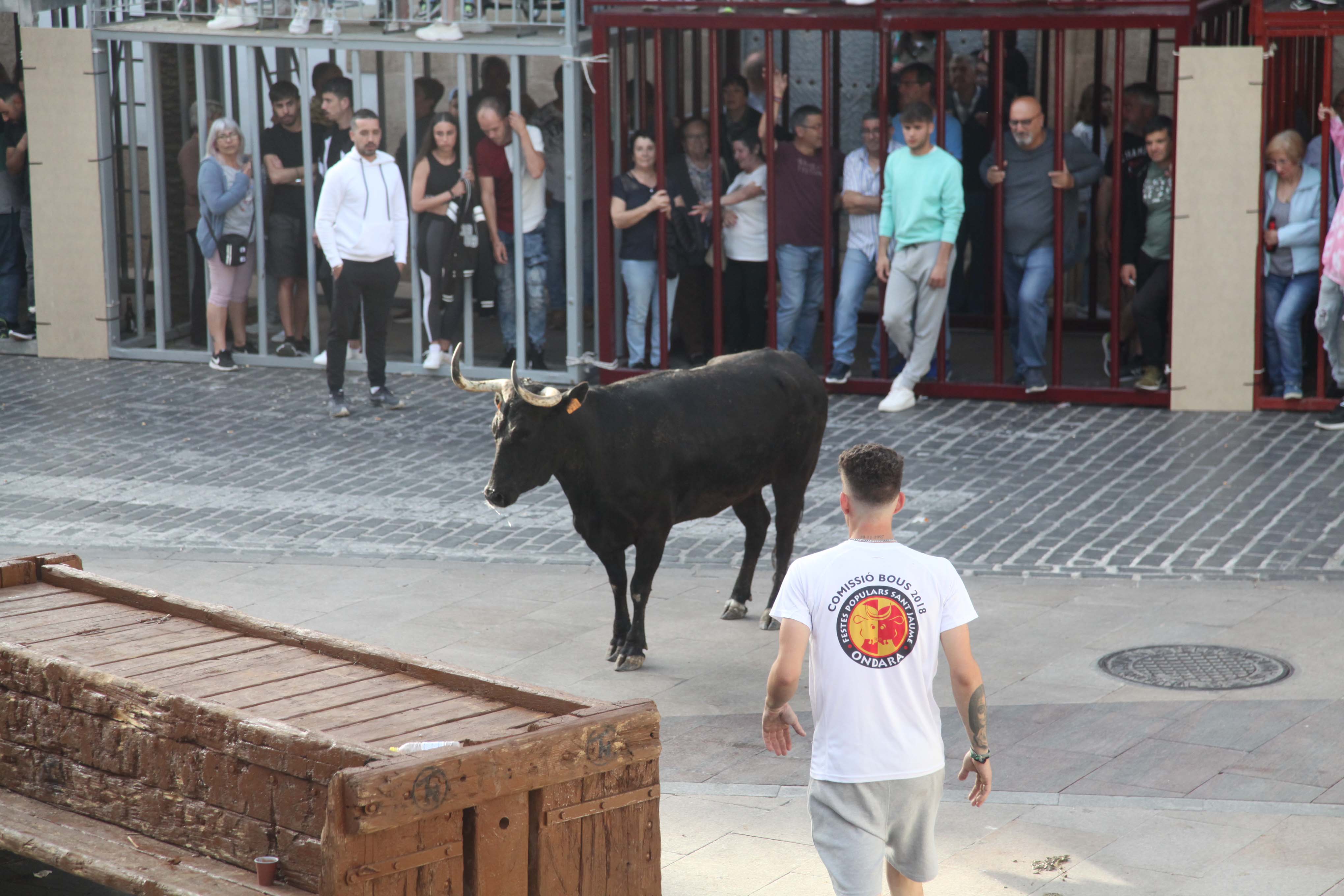 Xàbia celebra sus bous al carrer
