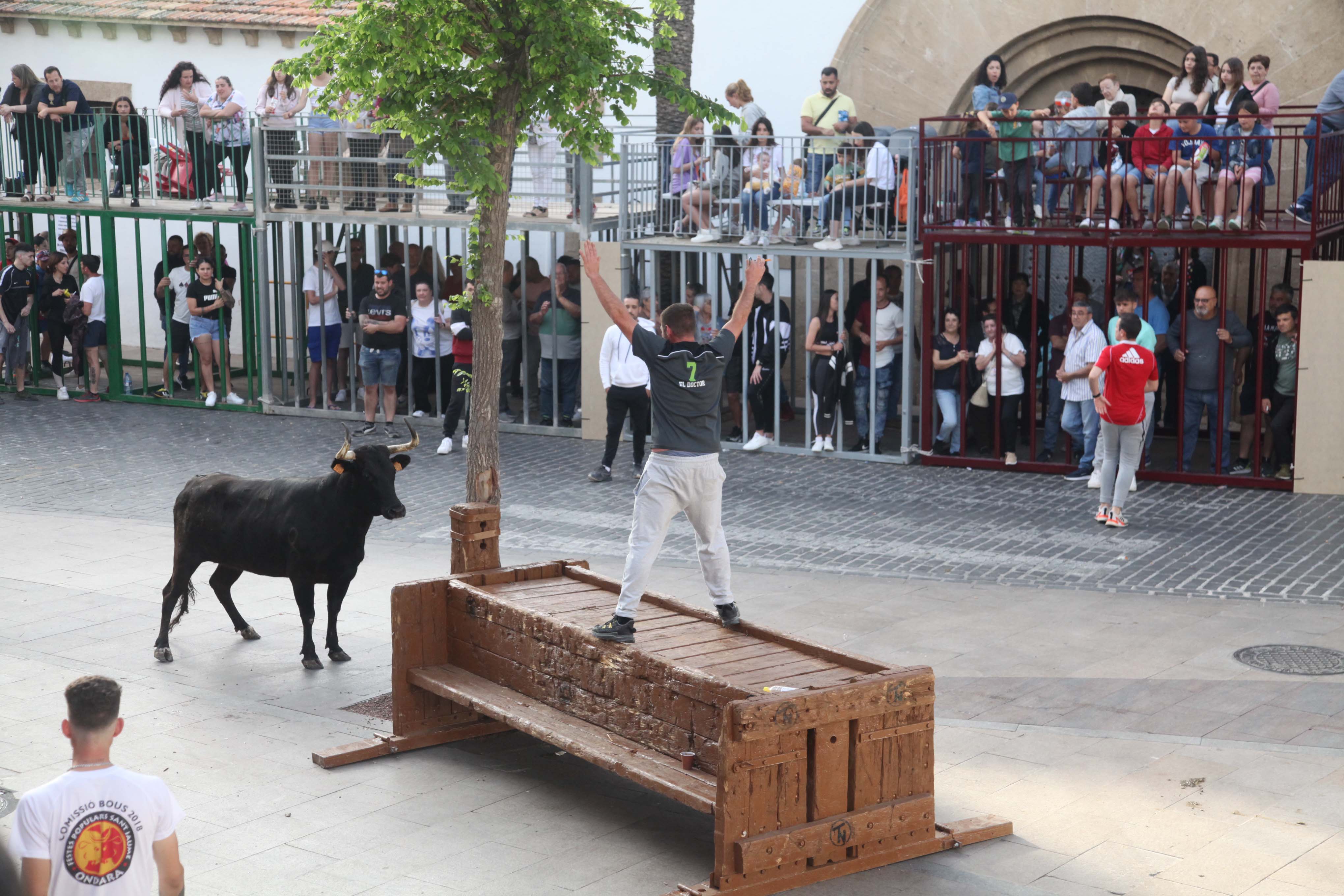 Xàbia celebra sus bous al carrer