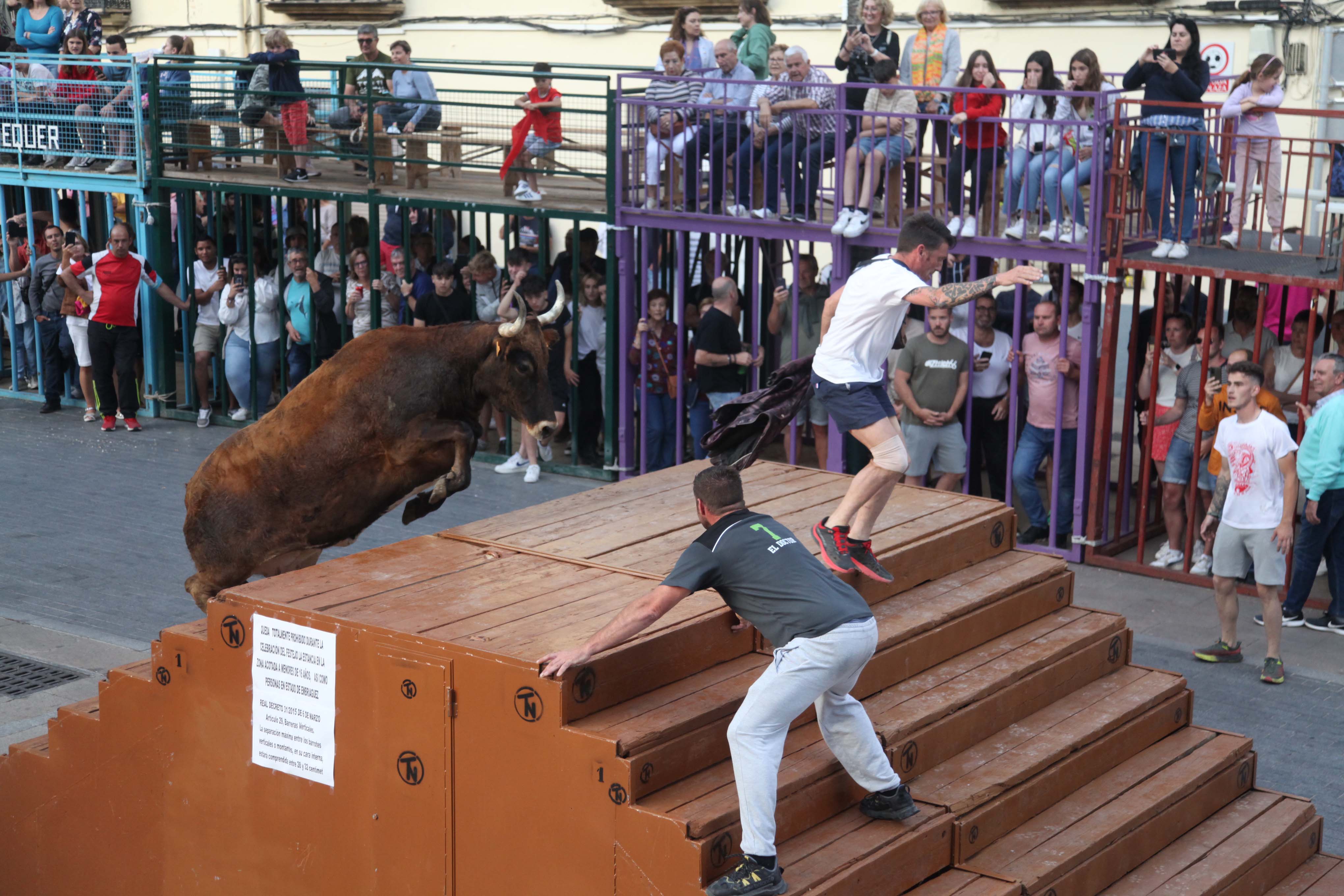Xàbia celebra sus bous al carrer