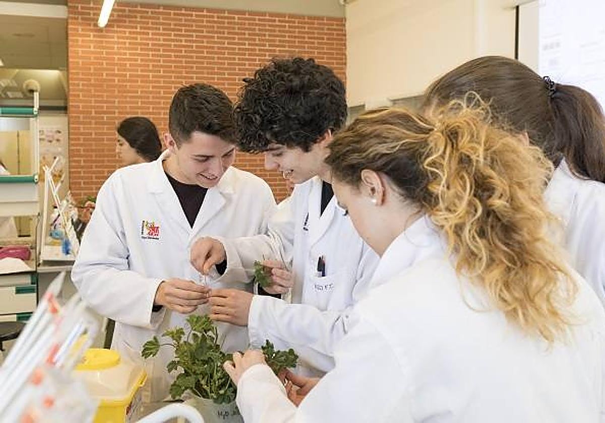 UMH: Una universidad para vivirla