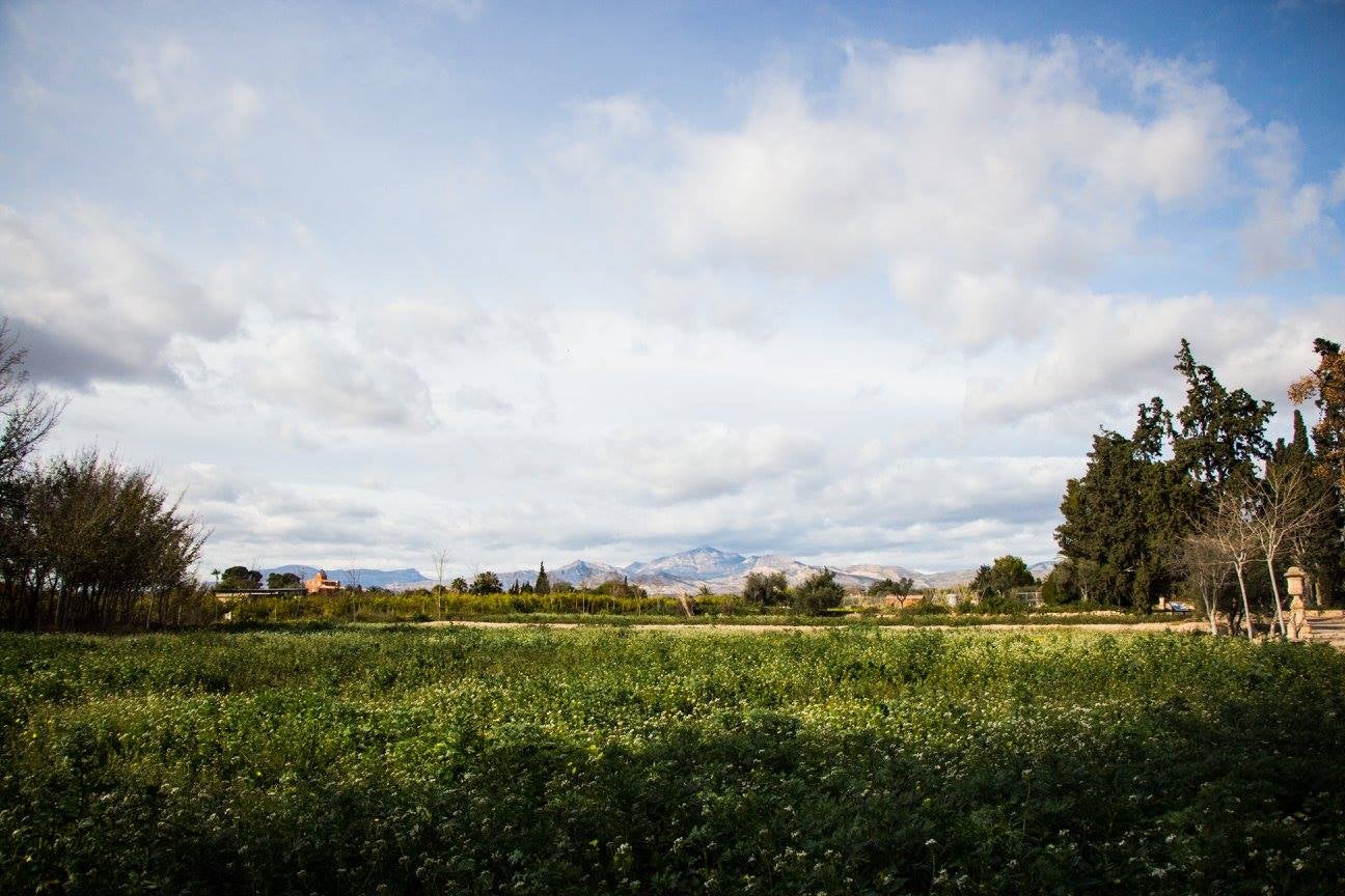 El Maigmó en un día de nubes altas