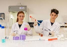 MEDAC aumenta su oferta de FP e introduce la metodología semipresencial en su catálogo formativo