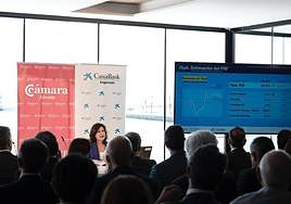 La directora del gabinete de estudios de la Cámara de Alicante, María del Carmen Pastor