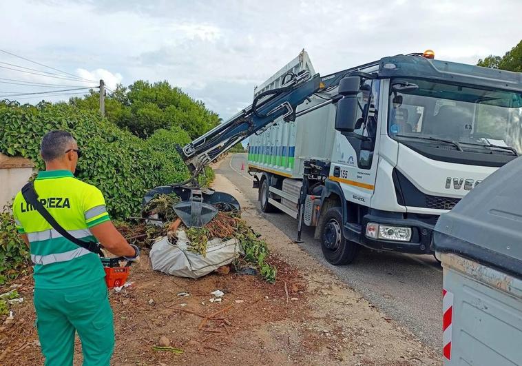 El servicio 'puerta a puerta' en Elche de restos de palmeras cierra su primer año con más de 970.000 kilos recogidos