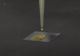 Investigación llevada a cabo por científicos de la Universidad de Alicante.