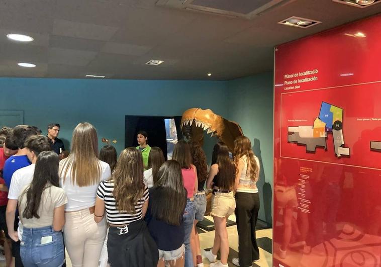 Los escolares ilicitanos aprenden sobre geología y paleontología en el MUPE