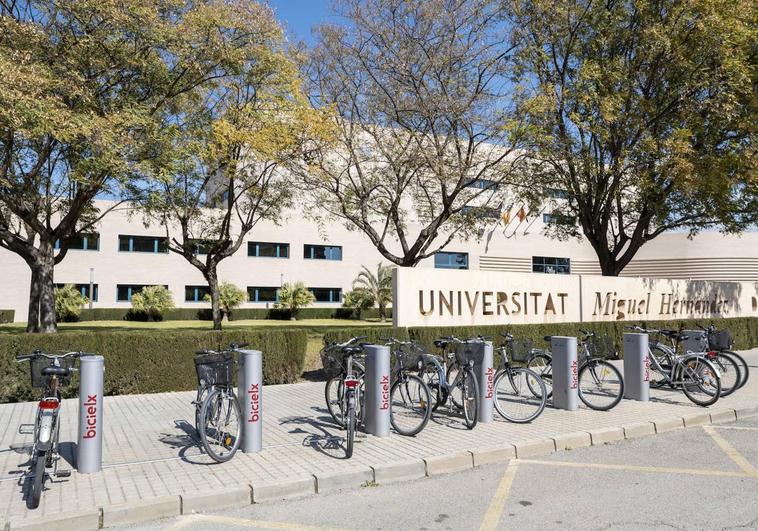Hacer un trabajo universitario sobre el sector del calzado tiene premio: 600 euros