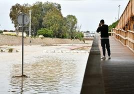 Un joven fotografía las consecuencias de la lluvia en Alicante.