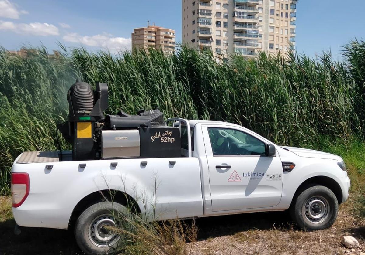 Fumigan varias zonas de El Campello para frenar el incremento de mosquito tigre.