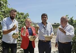 El presidente de la Asociación de Productores de la Breva de Albatera, Juan de Dios Santos; la alcaldesa de Albatera, Ana Serna; el presidente de la Diputación, Carlos Mazón, y el diputado de Desarrollo Económico, Sebastián Cañadas.