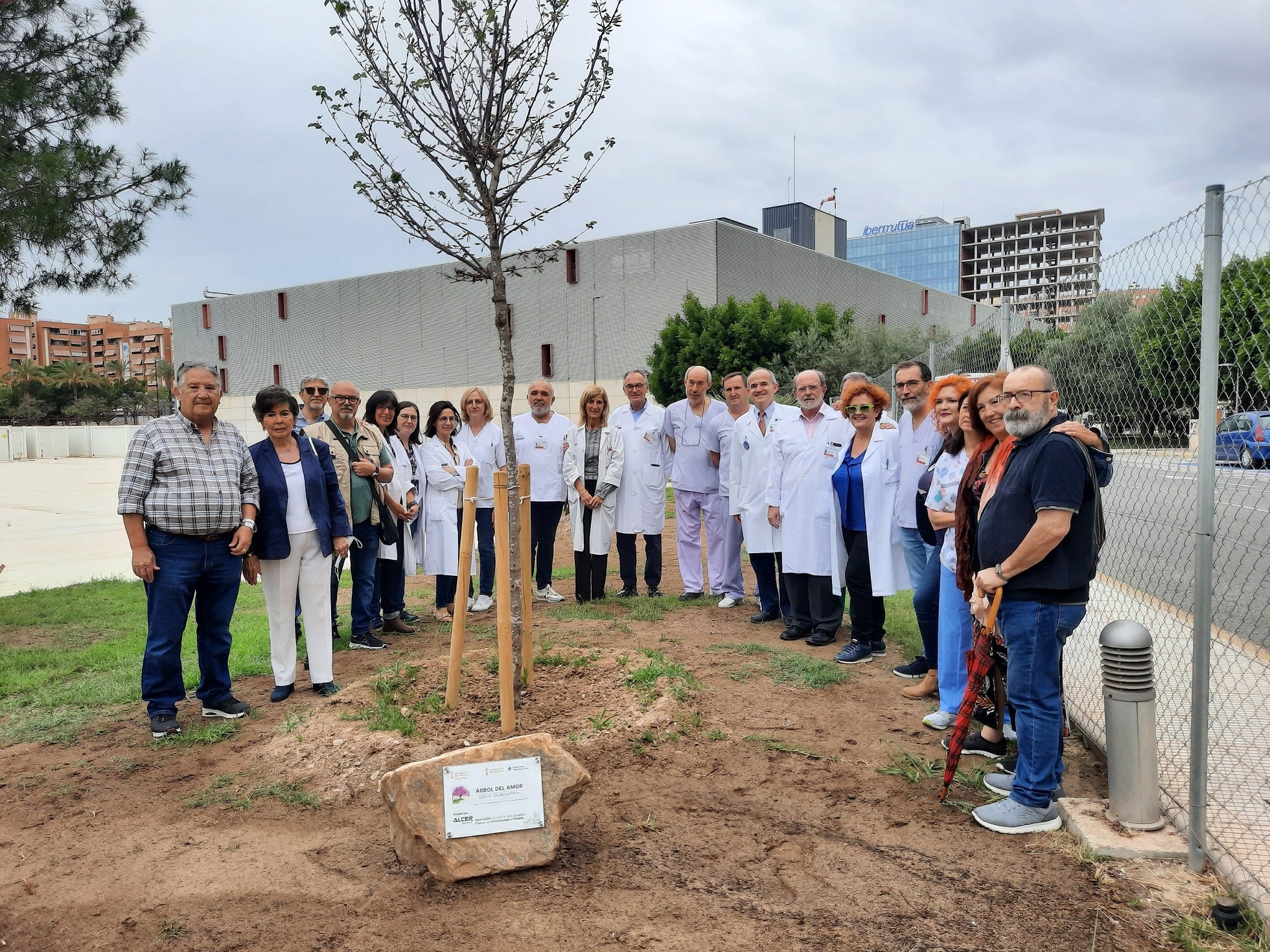 Ejemplar donado por ALCER al hospital alicantino.
