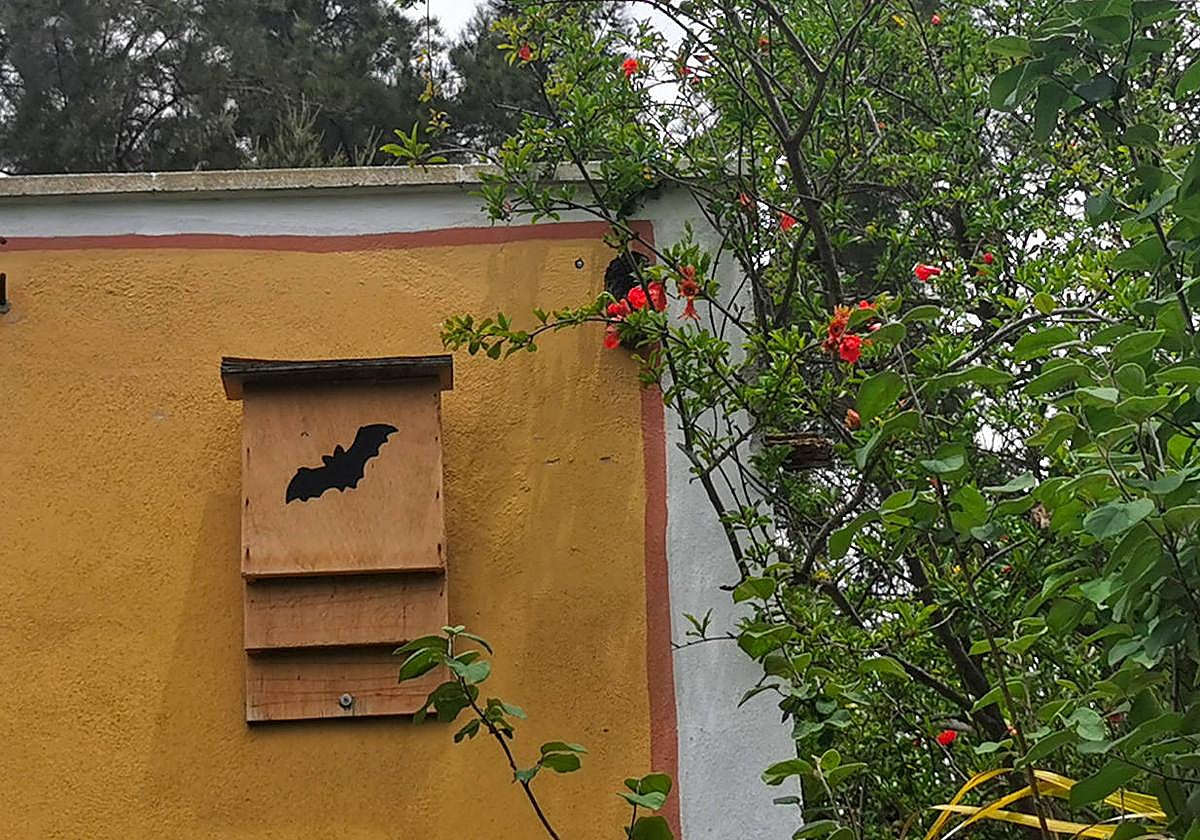 Caja-refugio para la cría de murciélagos.