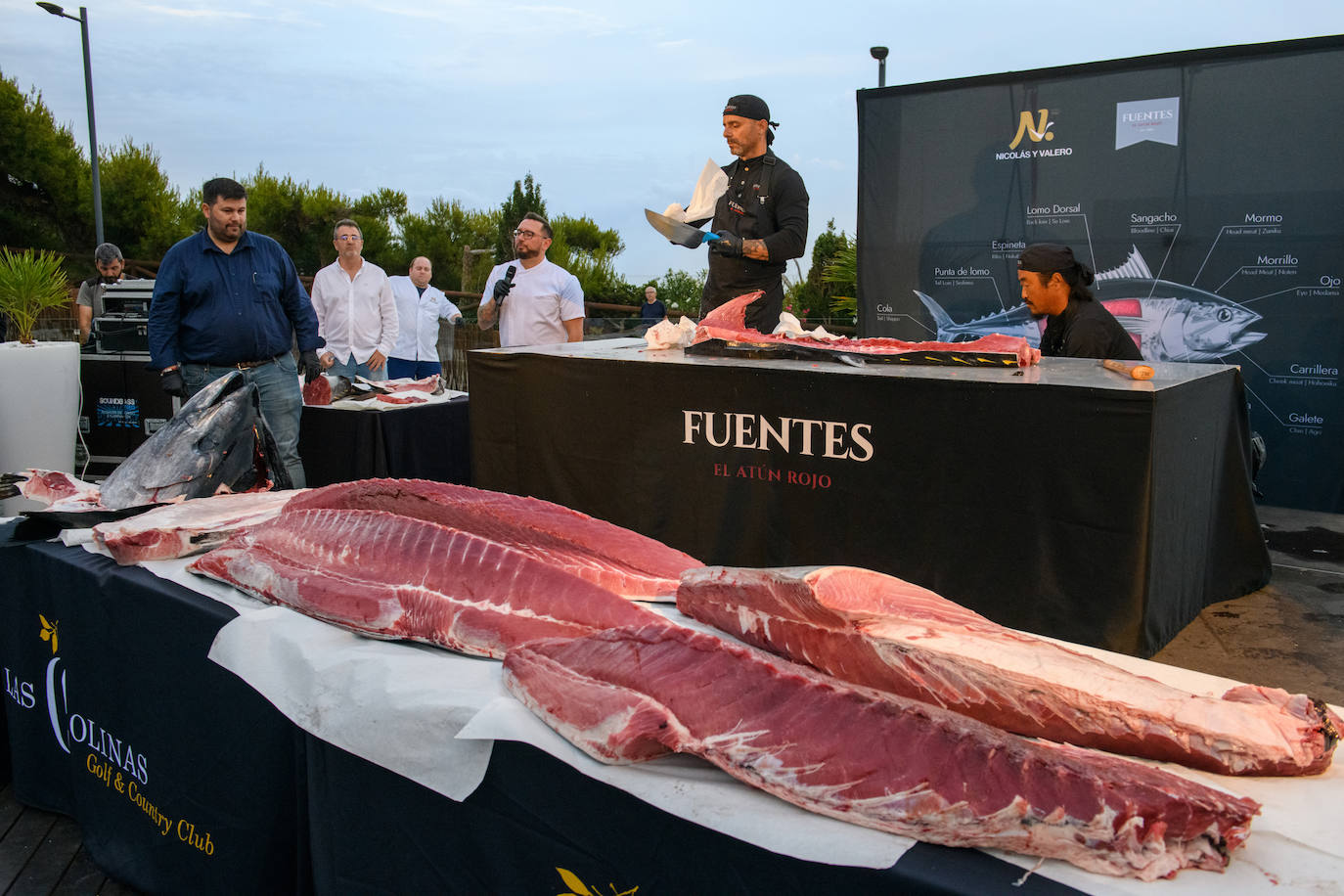Imagen secundaria 1 - Diversas fases del 'ronqueo' del atún.