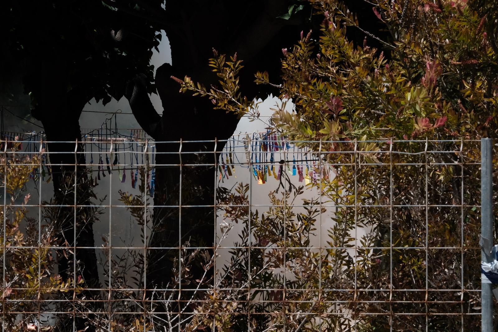 100 kilos de pólvora en la octava mascletà de las Hogueras de Alicante