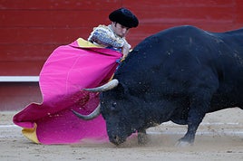 El diestro Cayetano durante una corrida de toros en la feria de Fallas de Valencia.