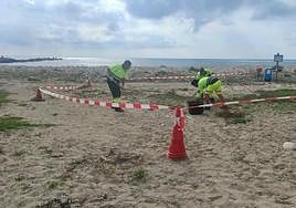 Simulacro de vertido de aguass residuales en El Campello.